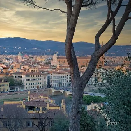 View-hosted By Sweetstay